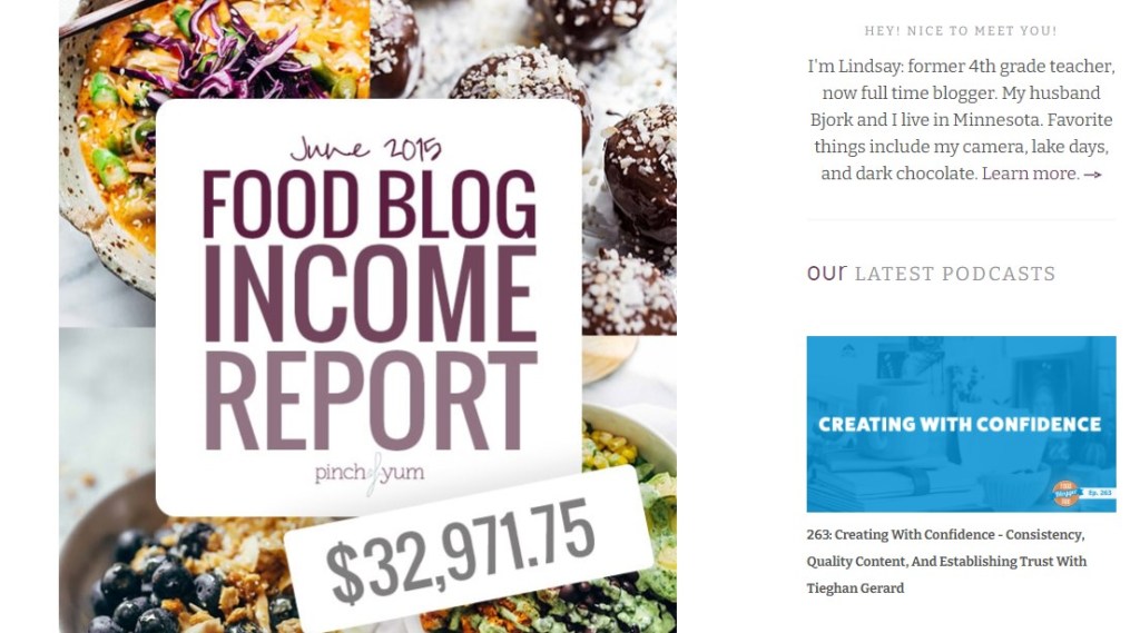 Pinch Of Yum made $32,971.75 in revenue from their blog in June 2015
