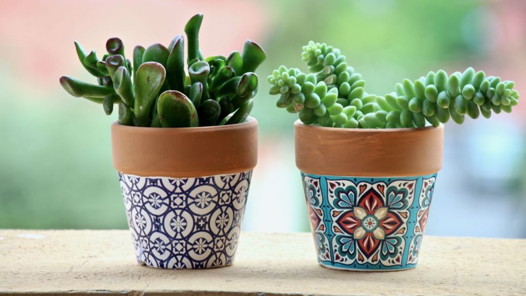 Plant pot print-on-demand suppliers featured image