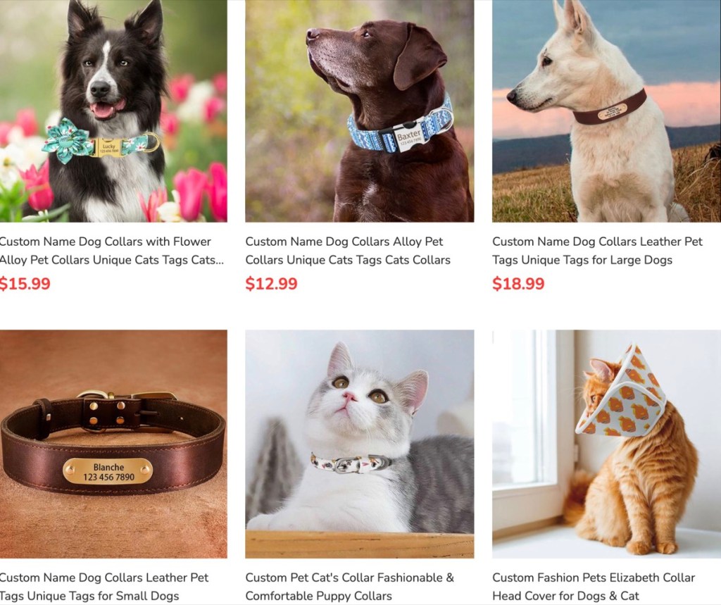ThisNew custom dog collar print-on-demand supplier